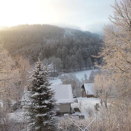 Вілла Haus Vor Den Eichen Fuer Familien Віллінген Екстер'єр фото