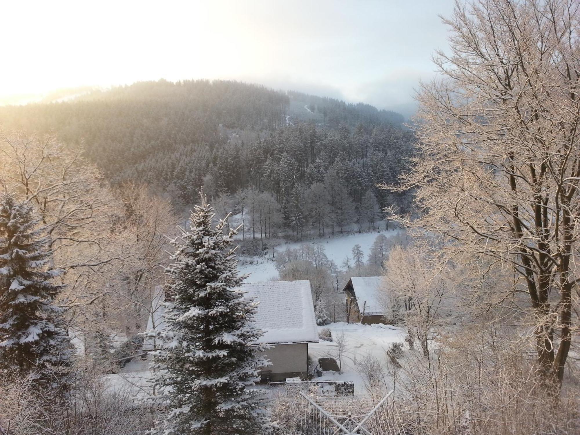 Вілла Haus Vor Den Eichen Fuer Familien Віллінген Екстер'єр фото
